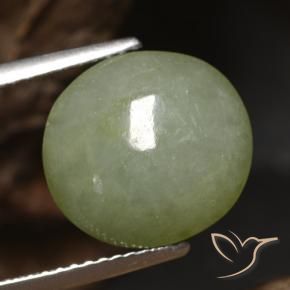 Jadéite Vert chaud naturelle ovale, 5.65 ct, Translucide