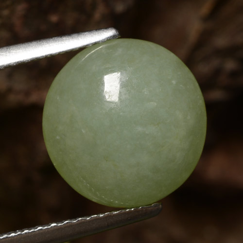 Jadéite vert naturelle coupe roude, 4,64 ct, translucide