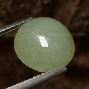 Jadéite vert naturelle coupe roude, 4,64 ct, translucide