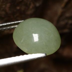 Jadéite vert naturelle coupe roude, 4,64 ct, translucide