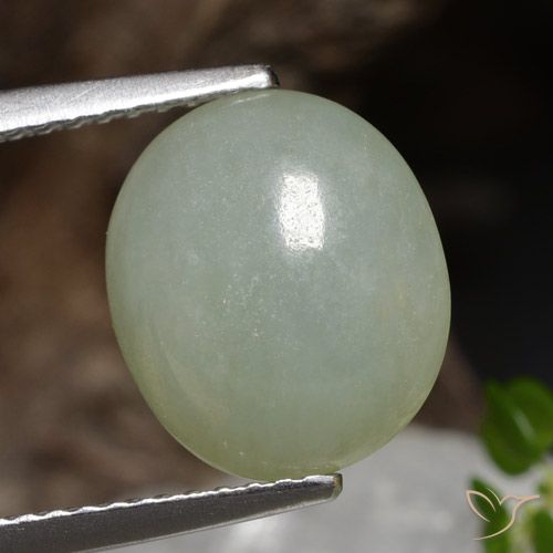 Jadéite Vert clair naturelle ovale, 4.89 ct, Translucide