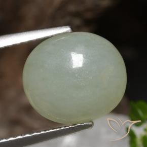 Jadéite Vert clair naturelle ovale, 4.89 ct, Translucide