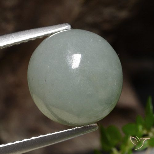 6.51ct Naturel Vert forêt pâle Jadéite, Tour, Translucide