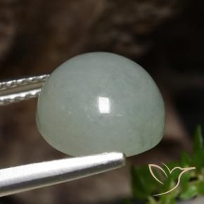Jadéite Vert forêt pâle naturelle Tour, 6.51 ct, Translucide