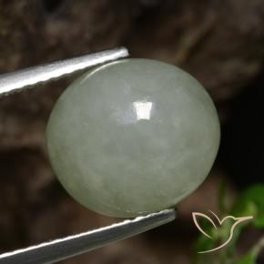 Jadéite Vert moyen naturelle ovale, 6.92 ct, Translucide