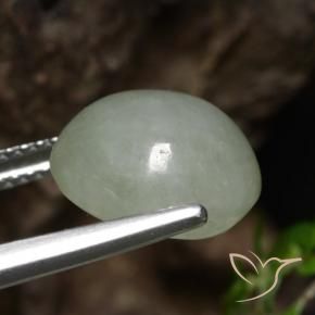 Jadéite Vert moyen naturelle ovale, 6.92 ct, Translucide