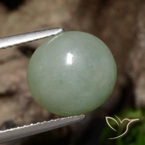 Jadéite Gris vert naturelle ovale, 5.39 ct, Translucide