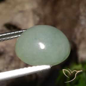 Jadéite Gris vert naturelle ovale, 5.39 ct, Translucide