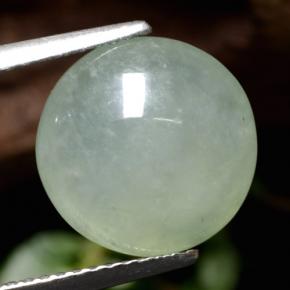 Jadéite vert naturelle coupe roude, 5,77 ct, translucide