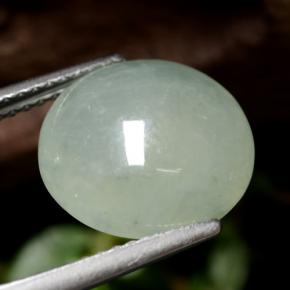 Jadéite vert naturelle coupe roude, 5,77 ct, translucide