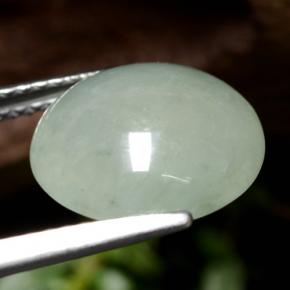 Jadéite vert naturelle coupe roude, 5,77 ct, translucide