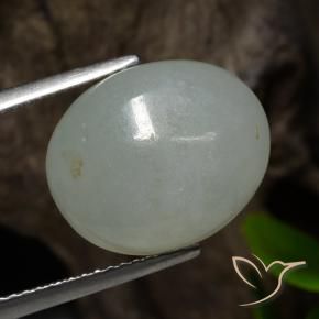 Jadéite Gris vert naturelle ovale, 8.05 ct, Translucide