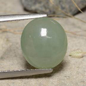 Jadéite vert naturelle coupe ovale, 3,68 ct, translucide