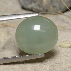Jadéite vert naturelle coupe ovale, 3,68 ct, translucide