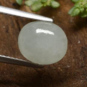 Jadéite vert naturelle coupe ovale, 3,34 ct, translucide