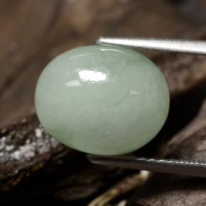 Jadéite vert naturelle coupe ovale, 5,78 ct, translucide