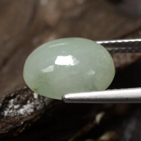 Jadéite vert naturelle coupe ovale, 5,78 ct, translucide