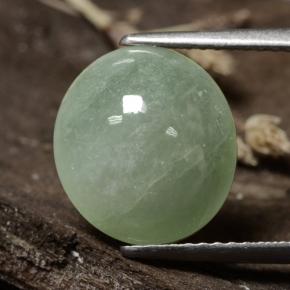 Jadéite Vert moyen naturelle Coupe ovale, 6.47 ct, Translucide
