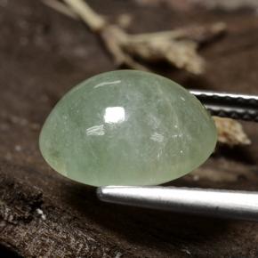 Jadéite Vert moyen naturelle Coupe ovale, 6.47 ct, Translucide