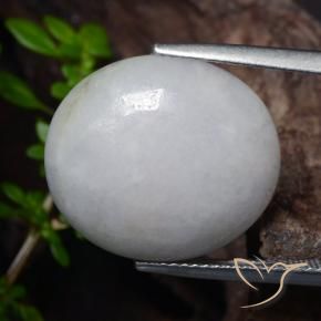 Jadéite Gris moyen naturelle ovale, 18.56 ct, Translucide