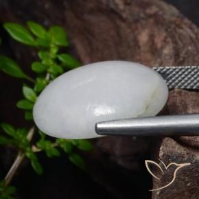 Jadéite Gris moyen naturelle ovale, 18.56 ct, Translucide