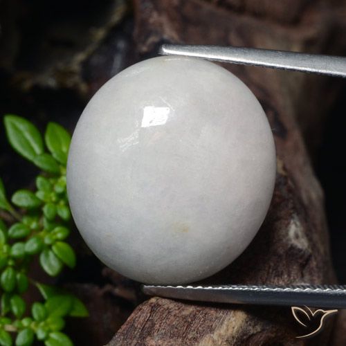 23.32ct Naturel Gris très clair Jadéite, ovale, Translucide