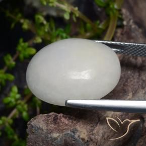 Jadéite Blanc grisâtre naturelle ovale, 21.02 ct, Translucide