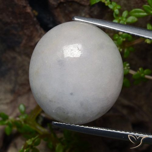 21.41ct Naturel Blanc grisâtre Jadéite, ovale, Translucide