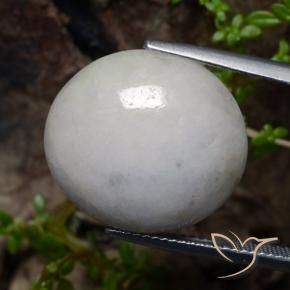 Jadéite Blanc grisâtre naturelle ovale, 21.41 ct, Translucide