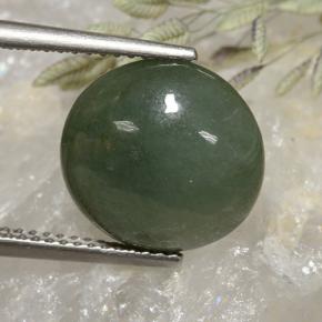 Jadéite vert naturelle coupe roude, 6,91 ct, translucide