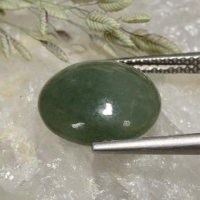 Jadéite vert naturelle coupe roude, 6,91 ct, translucide