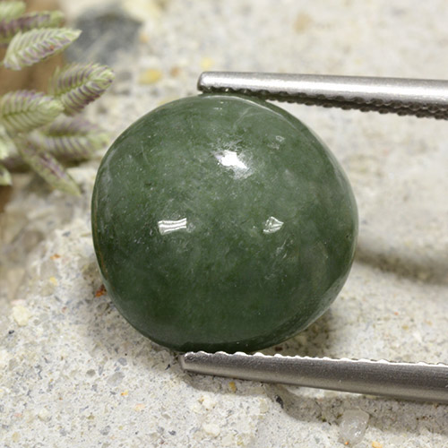 Jadéite vert naturelle coupe roude, 7,25 ct, opaque