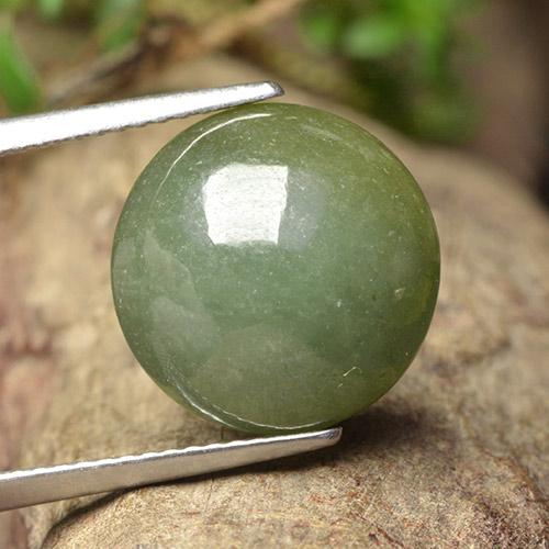 Jadéite vert naturelle coupe roude, 9,18 ct, translucide