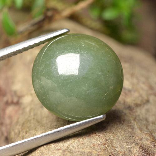 Jadéite vert naturelle coupe roude, 9,18 ct, translucide