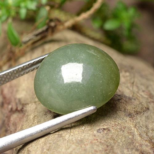 Jadéite vert naturelle coupe roude, 9,18 ct, translucide
