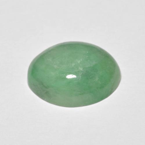 Jadéite vert naturelle coupe ovale, 5,09 ct, opaque