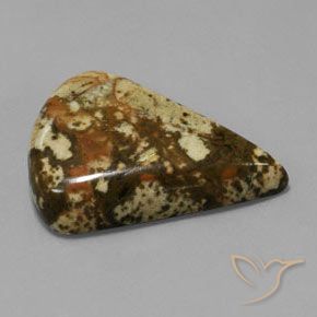 Jaspe Multicolore naturelle Fantaisie, 50.54 ct, Opaque