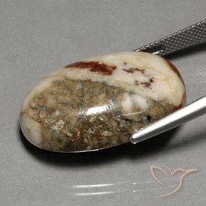 Jaspe Multicolore naturelle ovale, 35.14 ct, Opaque