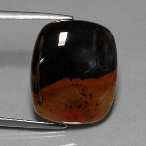 Jaspe multicolore naturelle transparent, 9,86 ct, transparent / translucide