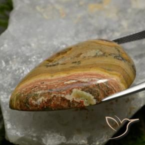 Jaspe Multicolore naturelle En forme de poire, 49.55 ct, Opaque