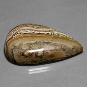 Jaspe multicolore naturelle en forme de poire, 66,36 ct, opaque