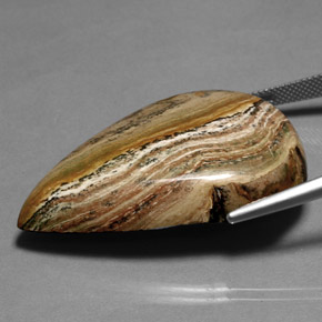 Jaspe multicolore naturelle en forme de poire, 66,36 ct, opaque