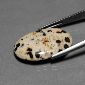 Jaspe Multicolore naturelle Coupe ovale, 12.82 ct, Opaque