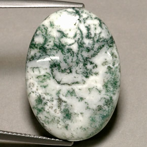 Jaspe Multicolore naturelle Coupe ovale, 17.74 ct, Opaque