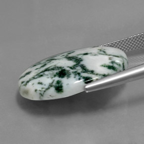 Jaspe Multicolore naturelle Coupe ovale, 17.30 ct, Opaque