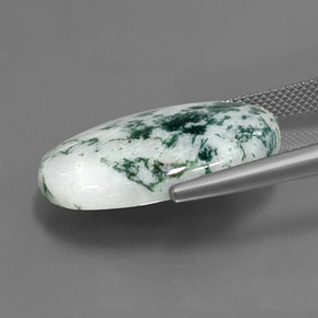 Jaspe Multicolore naturelle Coupe ovale, 17.10 ct, Opaque