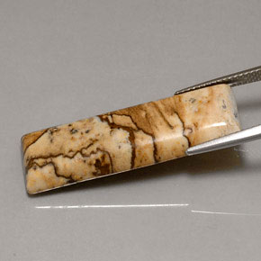 Jaspe multicolore naturelle baguette, 16,90 ct, opaque