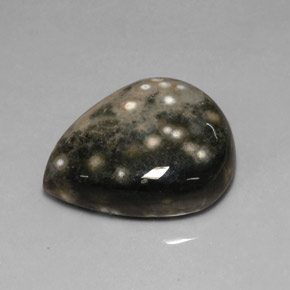 Jaspe multicolore naturelle en forme de poire, 24,92 ct, opaque