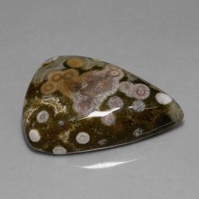 Jaspe multicolore naturelle trillion, 39,82 ct, opaque