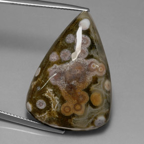 Jaspe multicolore naturelle trillion, 39,82 ct, opaque